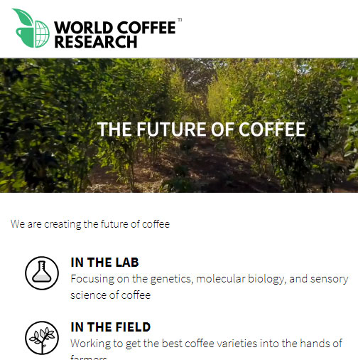 Hanna Neuschwander World Coffee Research